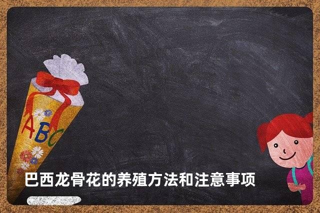 巴西龙骨花的养殖方法和注意事项