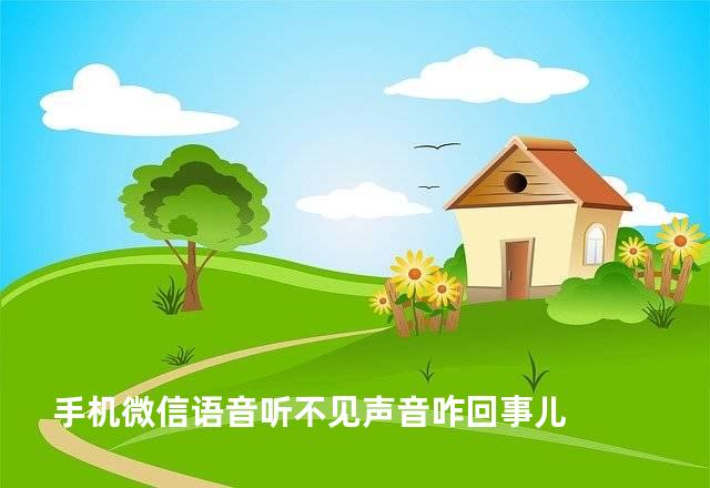 手机微信语音听不见声音咋回事儿
