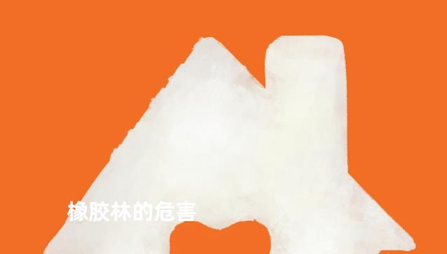 橡胶林的危害