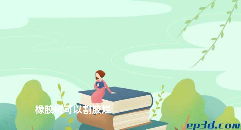 橡胶树可以割胶烂