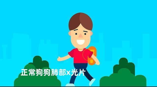 正常狗狗肺部x光片