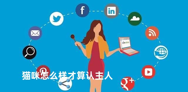 猫咪怎么样才算认主人