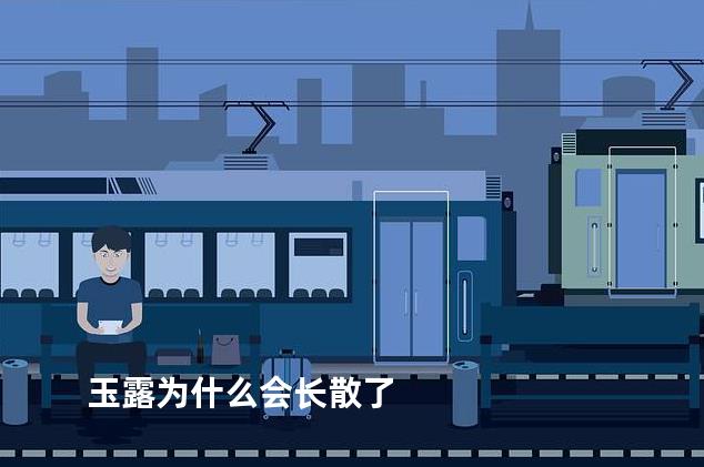 玉露为什么会长散了