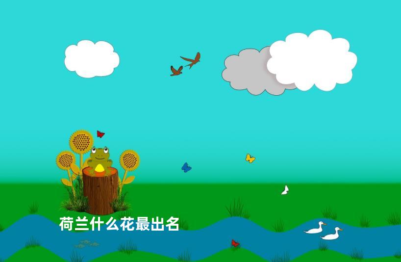 荷兰什么花最出名