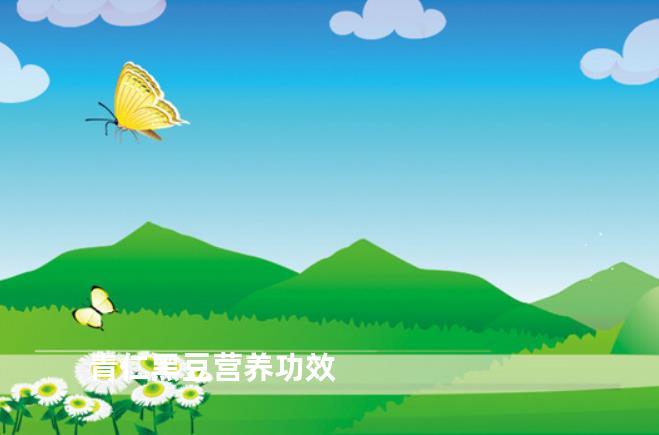 青仁黑豆营养功效
