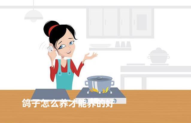 鸽子怎么养才能养的好