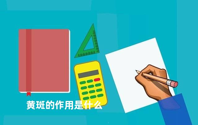 黄斑的作用是什么