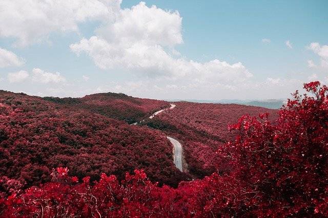 赏红叶的出片宝地有哪些?10个热门景点景色美到爆