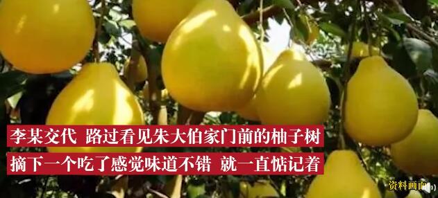 男子嘴馋偷摘农户14个柚子被拘 偷了一个味道好就念念不忘