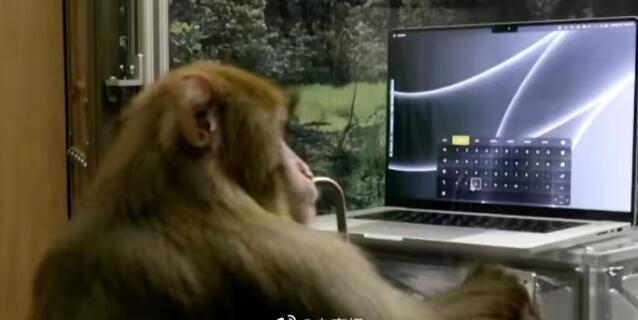 马斯克演示猴子用意念打字 预计脑机接口6个月内人体试验