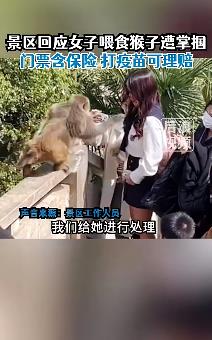 女子给猴子喂食被掌掴 景区回应表示：门票含保险，可理赔
