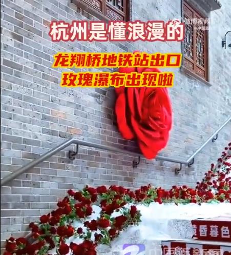 杭州地铁口惊现玫瑰瀑布 网友直呼太浪漫了