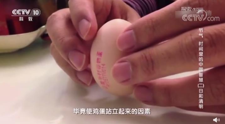 听说春分立鸡蛋成功率高 春分竖蛋的原理是什么？
