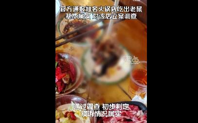 官方通报知名火锅店吃出老鼠一一牛杂火锅店吃出老鼠被立案调查