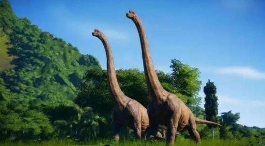 科学家在中国发现脖子最长恐龙 详情曝光颈部长达15米比长颈鹿长6倍