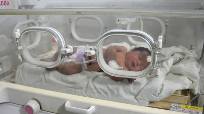 数千人提出领养叙利亚奇迹宝宝 背后真相曝光系家中唯一幸存者