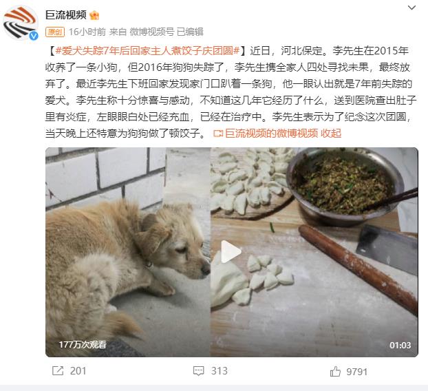 狗狗失踪7年后回家主人煮饺子庆团圆 网友：也许它经历了“一条狗的回家路”