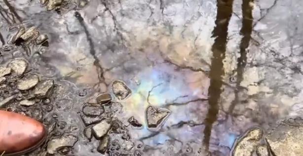 实拍美俄亥俄州小溪：全是死鱼死虫 背后真相曝光化学物质渗入地下