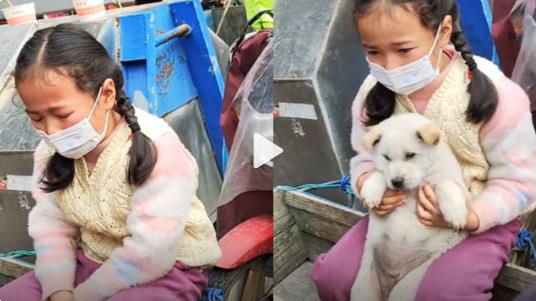 奶奶将女孩的小狗低价卖掉 狗被抱走时女孩失声痛哭
