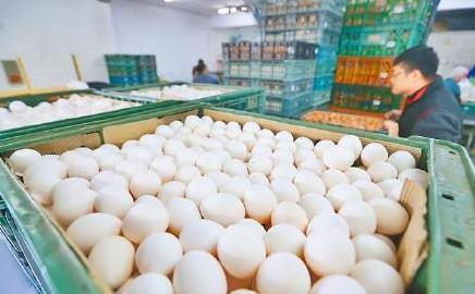 台湾鸡蛋货源紧张，价格重回历史高点24颗鸡蛋花了400块