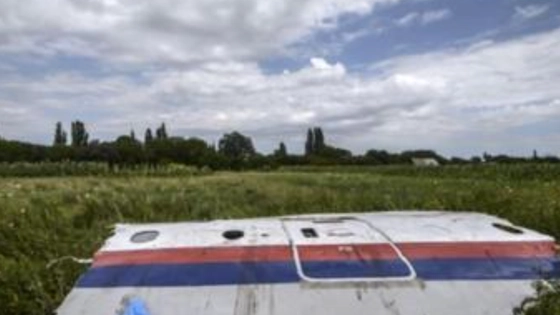 马航MH17坠机案调查暂停 马航MH17坠机案在荷兰宣判