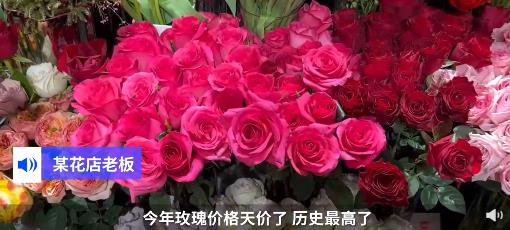 全球庆祝情人节最贵城市上海排第一 今年玫瑰价格可以说是“天价”了