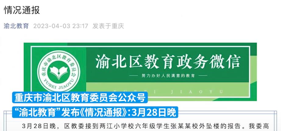 重庆一小学生从校外小区楼顶坠亡 到底发生了什么？