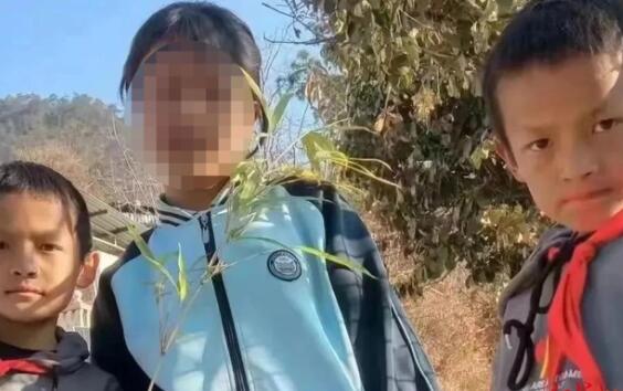 官方通报云南12岁失联双胞胎身亡 事情真相曝光两兄弟究竟是怎么去世的