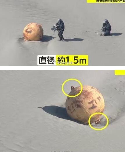 日本海岸现不明球状物:直径1.5米 这个巨大圆球究竟是什么引发网友好奇