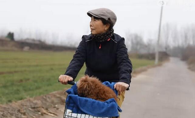 65岁阿姨离婚后8年骑行12国 靠每月3000多元的退休金一路穷游勇气可嘉