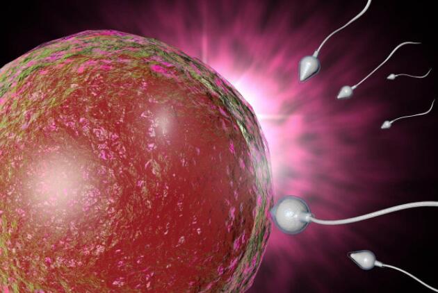 受精卵从子宫出逃 在女子直肠安家 发生率约为1/25000极易引发大出血