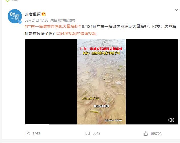 广东一海滩突然涌现大量海虾 多部门发布通告：谣言