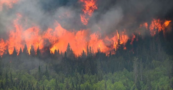 加拿大山火已烧了几个月 过火面积已超希腊一个国家的国土面积