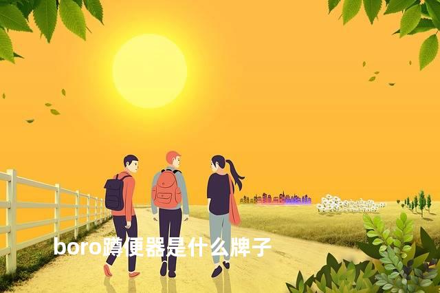 boro蹲便器是什么牌子