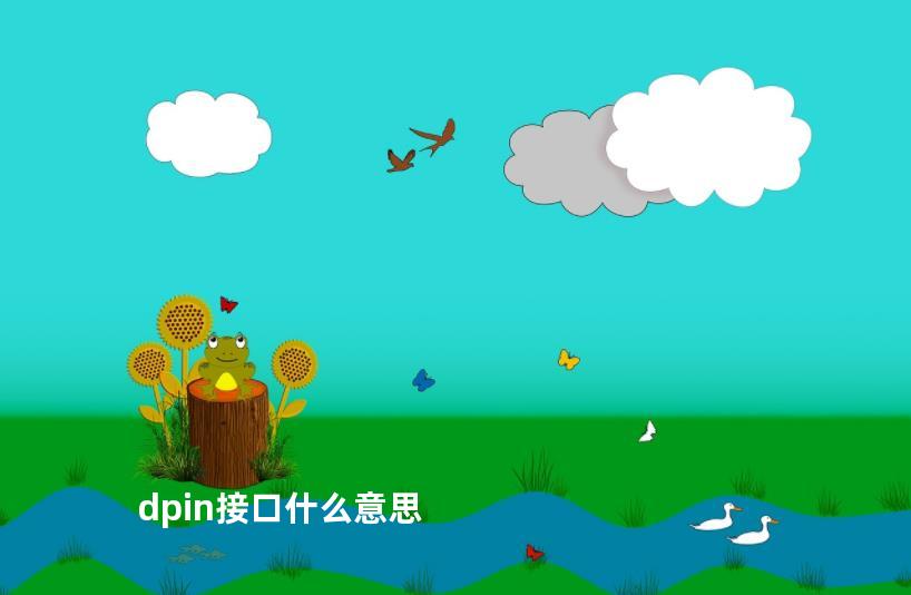 dpin接口什么意思