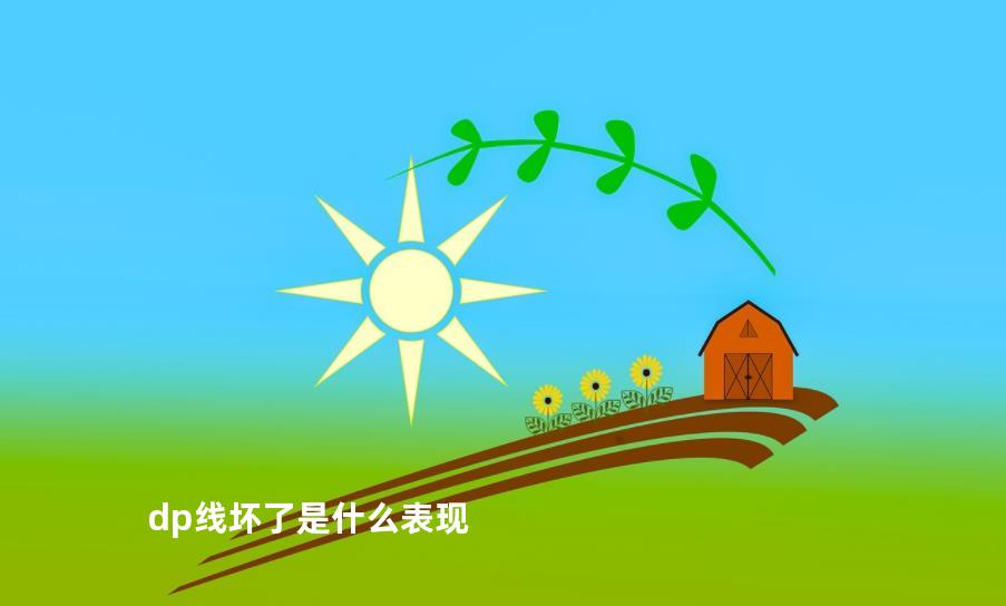 dp线坏了是什么表现