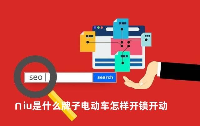 ∩iu是什么牌子电动车怎样开锁开动