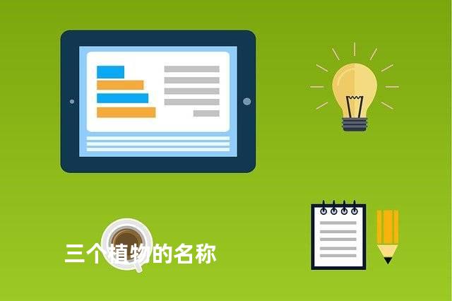 三个植物的名称