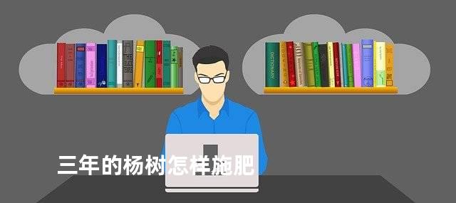 三年的杨树怎样施肥