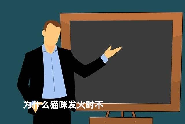 为什么猫咪发火时不