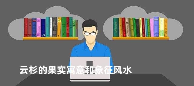 云杉的果实寓意和象征风水