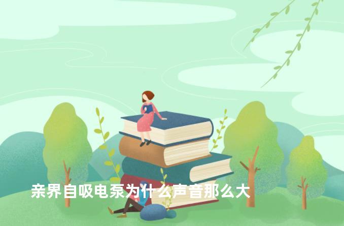 亲界自吸电泵为什么声音那么大