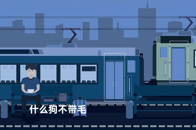什么狗不带毛