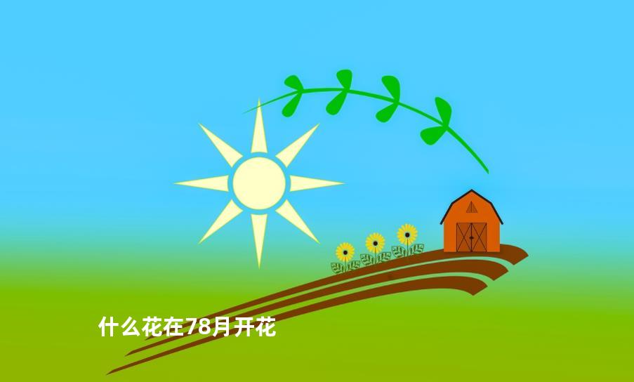 什么花在78月开花