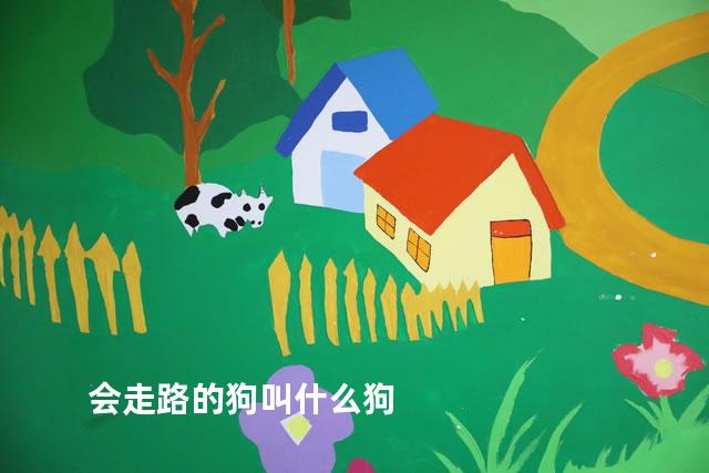会走路的狗叫什么狗