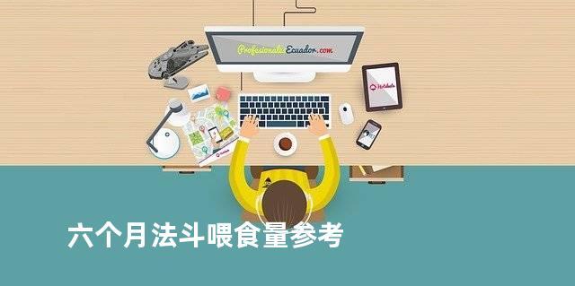 六个月法斗喂食量参考