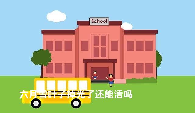 六月雪叶子掉光了还能活吗
