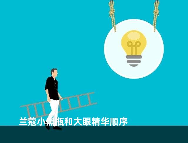 兰蔻小黑瓶和大眼精华顺序