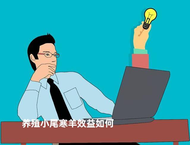 养殖小尾寒羊效益如何