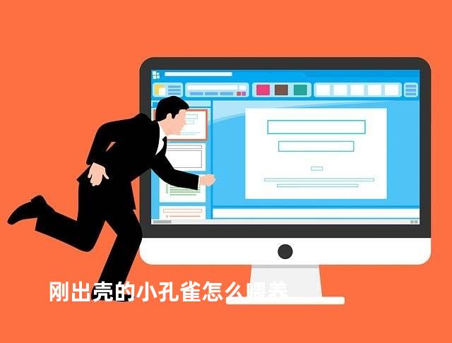 刚出壳的小孔雀怎么喂养